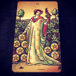 Nine of Pentacles 010521