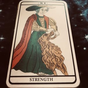 Strength Card